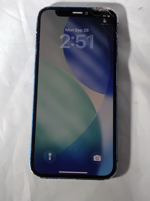49847376