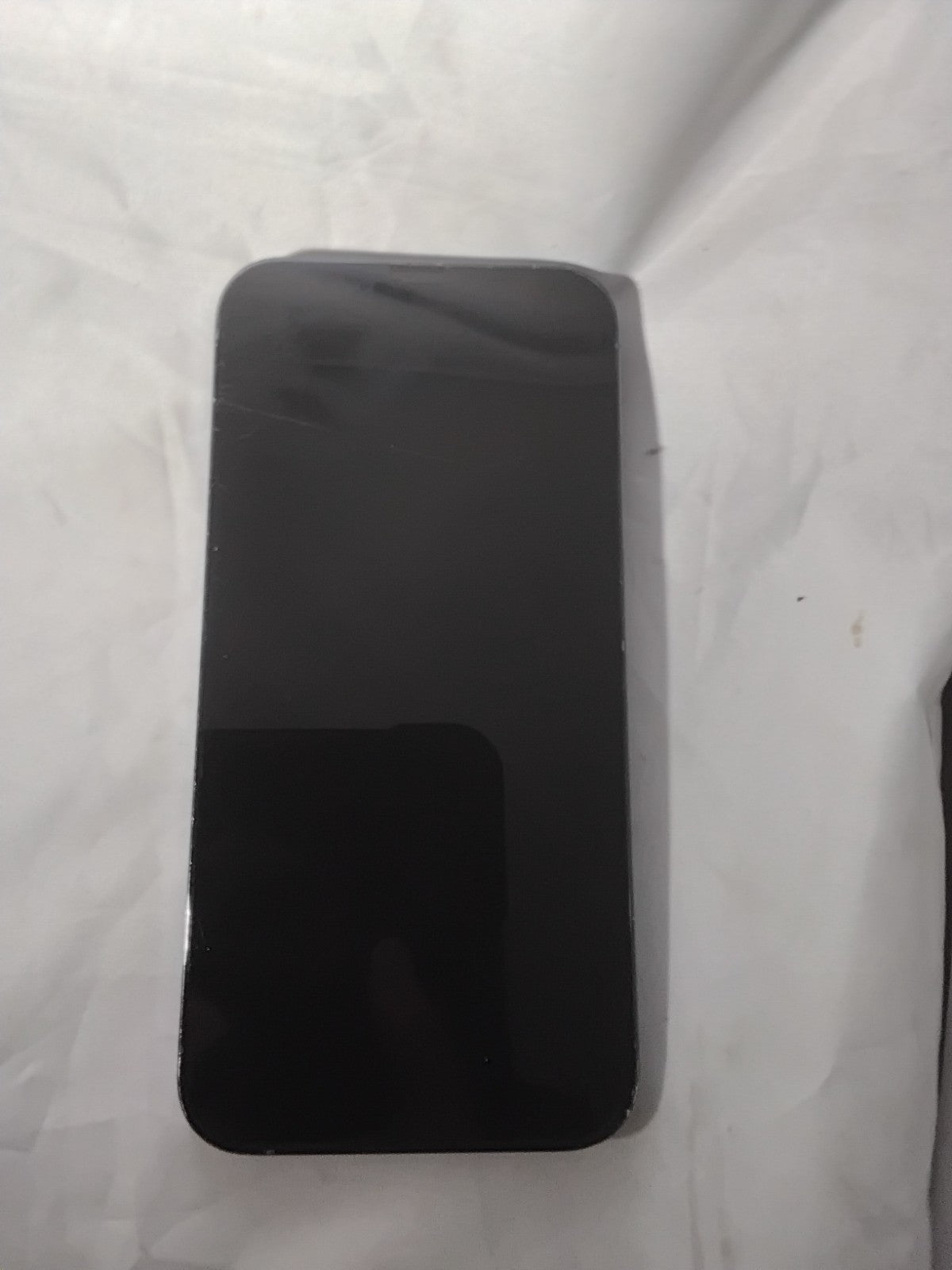 49847382